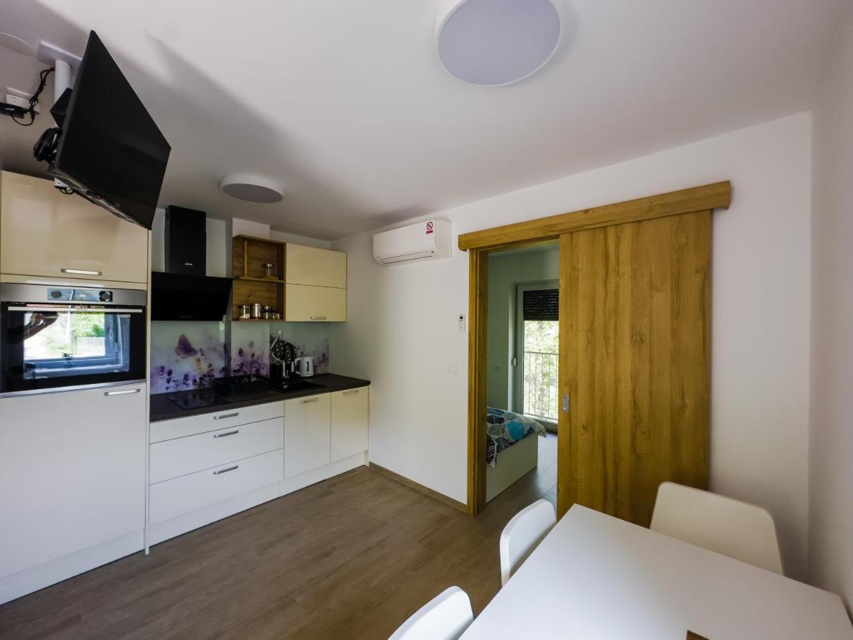 Apartmaji Silva Slap ob Idrijci Экстерьер фото